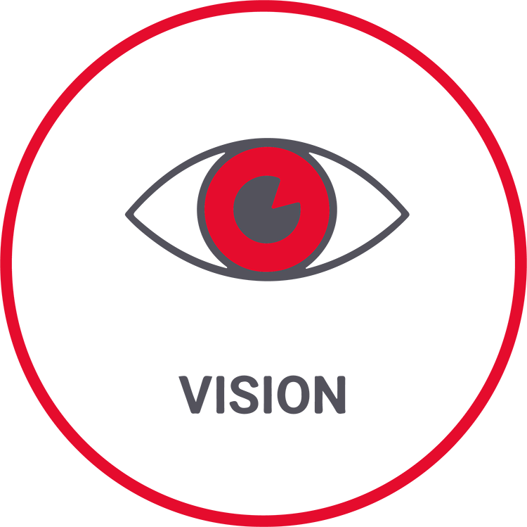 vision
